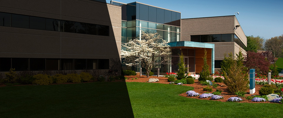 Woodstock Landscapers